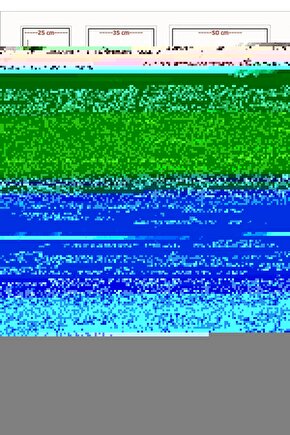 The Naked Gun The Smell of Fear (1991) AFİŞ - POSTER ( FOLYO ) - AFİŞ - POSTER-7665