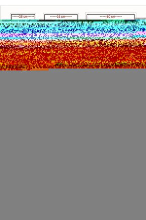 The Penguin Lessons (2024) 0002 AFİŞ - POSTER ( FOLYO ) - AFİŞ - POSTER-7730