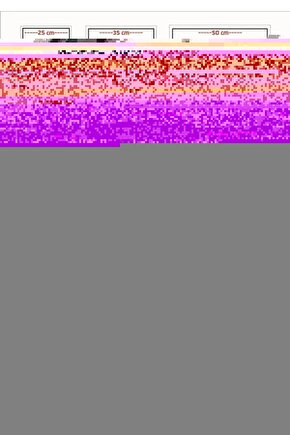 The Purge Election Year (2016) 1 AFİŞ - POSTER ( FOLYO ) - AFİŞ - POSTER-7774