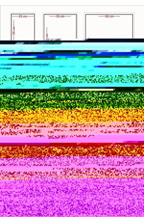 The Princess and the Frog (2009) 0002 AFİŞ - POSTER ( FOLYO ) - AFİŞ - POSTER-7761