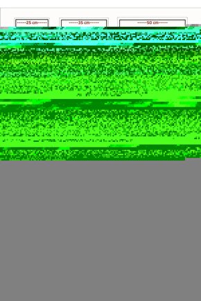 Rocky Balboa (2006) AFİŞ - POSTER ( FOLYO ) - AFİŞ - POSTER-5505