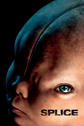 Splice (2009) 1 AFİŞ - POSTER ( FOLYO ) - AFİŞ - POSTER-6010