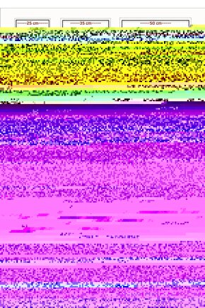 Pokemon the First Movie (1999) ( FOLYO ) - AFİŞ - POSTER-5139