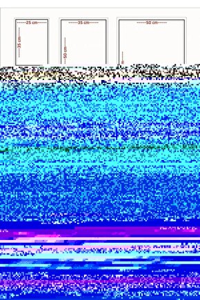 One Hundred and One Dalmatians (1961) ( FOLYO ) - AFİŞ - POSTER-4916