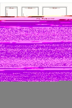 Memoir of a Snail (2024) 0003 ( FOLYO ) - AFİŞ - POSTER-4557