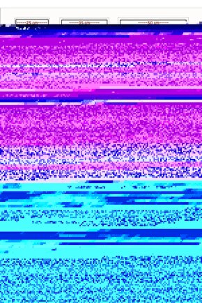 Gladiator II (2024) 0014 ( FOLYO ) - AFİŞ - POSTER-3080