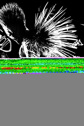 Death Note (2017) 1 ( FOLYO ) - AFİŞ - POSTER-2386