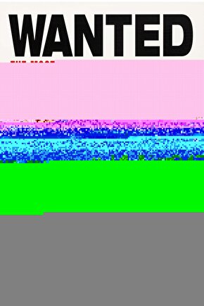 Matisse - Sanat - Soyut - Doğa - Ev - Yaşam ( 2 Li Çerçevesiz ) Poster - Afiş - Tablo NNHT719