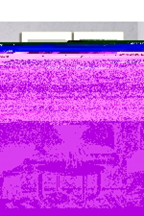 Matisse - Sanat - Soyut - Doğa - Ev - Yaşam ( 2 Li Çerçevesiz ) Poster - Afiş - Tablo NNHT753