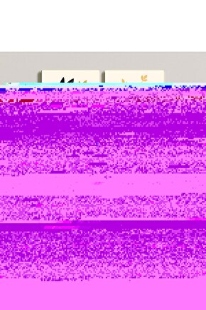 Matisse - Sanat - Soyut - Doğa - Ev - Yaşam ( 2 Li Çerçevesiz ) Poster - Afiş - Tablo NNHT656