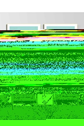 Matisse - Sanat - Soyut - Doğa - Ev - Yaşam ( 2 Li Çerçevesiz ) Poster - Afiş - Tablo NNHT324