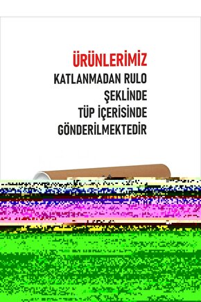 Matisse - Sanat - Soyut - Doğa - Ev - Yaşam ( 2 Li Çerçevesiz ) Poster - Afiş - Tablo NNHT533