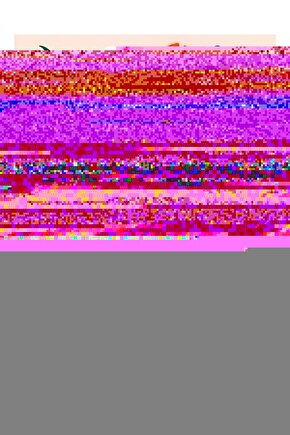 Matisse - Sanat - Soyut - Doğa - Ev - Yaşam ( 2 Li Çerçevesiz ) Poster - Afiş - Tablo NNHT847