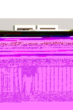 Matisse - Sanat - Soyut - Doğa - Ev - Yaşam ( 2 Li Çerçevesiz ) Poster - Afiş - Tablo NNHT517