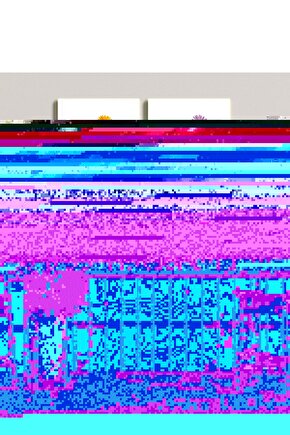 Matisse - Sanat - Soyut - Doğa - Ev - Yaşam ( 2 Li Çerçevesiz ) Poster - Afiş - Tablo NNHT532