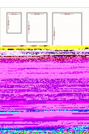 Matisse - Sanat - Soyut - Doğa - Ev - Yaşam ( 2 Li Çerçevesiz ) Poster - Afiş - Tablo NNHT285