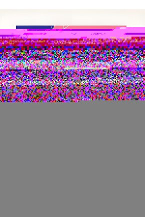 Matisse - Sanat - Soyut - Doğa - Yaşam ( Tekli Çerçevesiz ) Poster - Afiş - Tablo MKKM1577