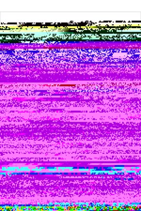 Matisse - Sanat - Soyut - Doğa - Yaşam ( Tekli Çerçevesiz ) Poster - Afiş - Tablo MKKM1703