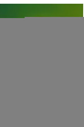 Matisse - Sanat - Soyut - Doğa - Yaşam ( Tekli Çerçevesiz ) Poster - Afiş - Tablo MKKM2594