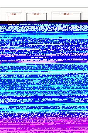 Matisse - Sanat - Soyut - Doğa - Yaşam ( Tekli Çerçevesiz ) Poster - Afiş - Tablo MKKM2224