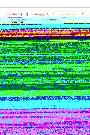 Matisse - Sanat - Soyut - Doğa - Yaşam ( Tekli Çerçevesiz ) Poster - Afiş - Tablo MKKM1475