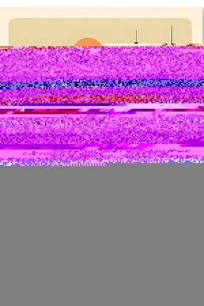 Matisse - Sanat - Soyut - Doğa - Yaşam ( Tekli Çerçevesiz ) Poster - Afiş - Tablo MKKM1270