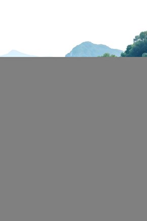 Matisse - Boho - Art Deco - Soyut - Doğa ( 3 lü Çerçevesiz ) Poster - Afiş - Tablo KR2C01107