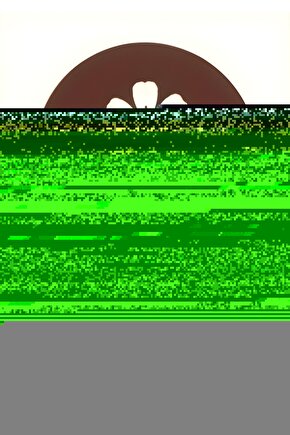 Matisse - Boho - Art Deco - Soyut - Doğa ( 3 lü Çerçevesiz ) Poster - Afiş - Tablo KR2C01124