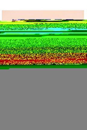 Matisse - Boho - Art Deco - Soyut - Doğa ( 3 lü Çerçevesiz ) Poster - Afiş - Tablo KR2C01230