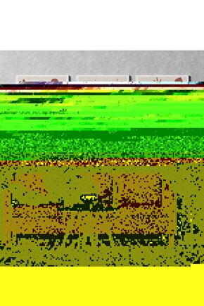 Matisse - Boho - Art Deco - Soyut - Doğa ( 3 lü Çerçevesiz ) Poster - Afiş - Tablo KR2C00009