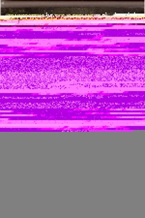 Matisse - Boho - Art Deco - Soyut - Doğa ( 3 lü Çerçevesiz ) Poster - Afiş - Tablo KR2C00864