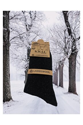 Erkek Çorabı Lambswoll (3 ADET) Termal Özellikli Kalın Uzun Çorap