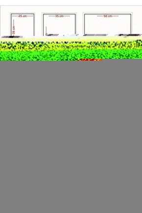 Uçak Ve Klasik Spor Üstü Açık Araba Retro Ahşap Poster