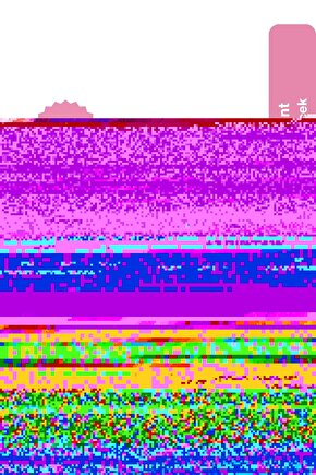 The Lord of the Rings The Fellowship of the Ring 2001 14 POSTER AFİŞ