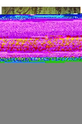 Lotus Kuğu Mutfak Batarya Kısa Boru