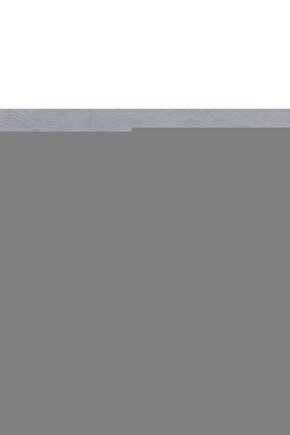 The Iron Giant (1999) 2 AFİŞ - POSTER ( FOLYO ) - AFİŞ - POSTER-7290