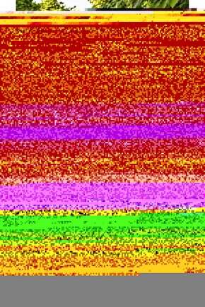 The Hills Have Eyes 2 (2007) AFİŞ - POSTER ( FOLYO ) - AFİŞ - POSTER-7142