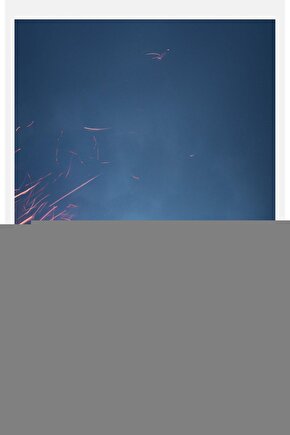 Dn 7424 Bamboo Şarjlı Saç Sakal Kesme Makinesi