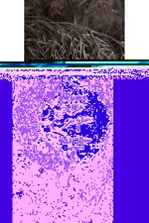 The Notebook (2004) 3 AFİŞ - POSTER ( FOLYO ) - AFİŞ - POSTER-7681