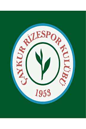 Sayılarla Boyama Kasnaklı Tablo Seti Fırça Boya Dahil 40x50 Çay kur Rizespor