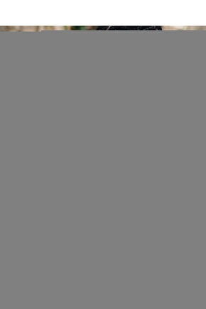 The Abyss (1989) AFİŞ - POSTER ( FOLYO ) - AFİŞ - POSTER-6480