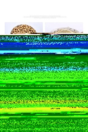 Teenage Mutant Ninja Turtles (1990) 1 AFİŞ - POSTER ( FOLYO ) - AFİŞ - POSTER-6397