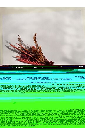 Queer (2024) 0001 AFİŞ - POSTER ( FOLYO ) - AFİŞ - POSTER-5248