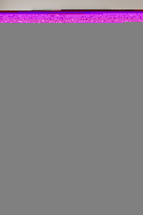 Gisele Modeli Full Ortopedik Çift Kişilik Pedli Yataklı Baza ve Başlık Takımı 3 lü Set