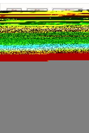 Sebze Şekillendirici(çubukta Patates)