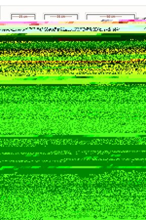 Bambulu Cam Baharatlık & Yağlık Seti – 10 Parça Standlı Düzenleyici