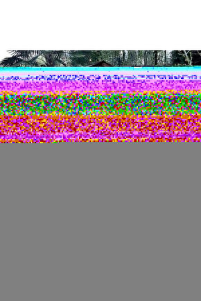 Halloween The Curse of Michael Myers (1995) ( FOLYO ) - AFİŞ - POSTER-3314