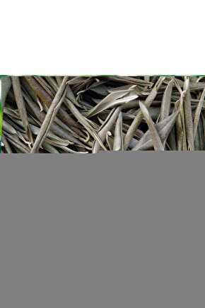 A Good Day to Die Hard (2013) 2 ( FOLYO ) - AFİŞ - POSTER-1089