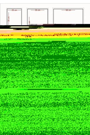 Bitter Melon Propolis 500 mg 60 Capsules x3 Piece