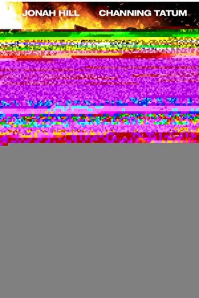 Şal Yaka Çizgili Blazer Ceket Elbise